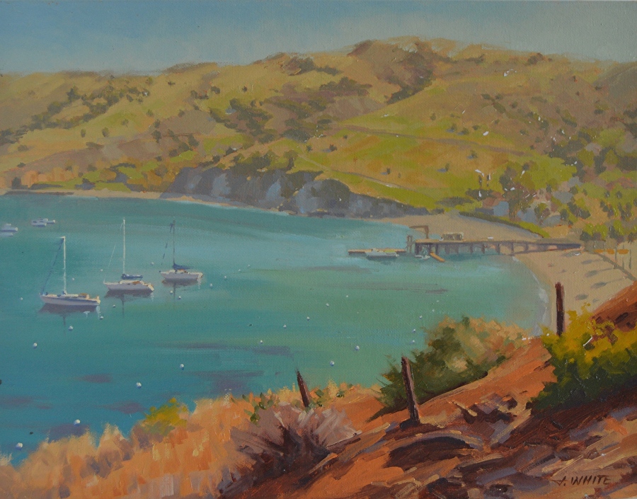 Two Harbors View.jpg