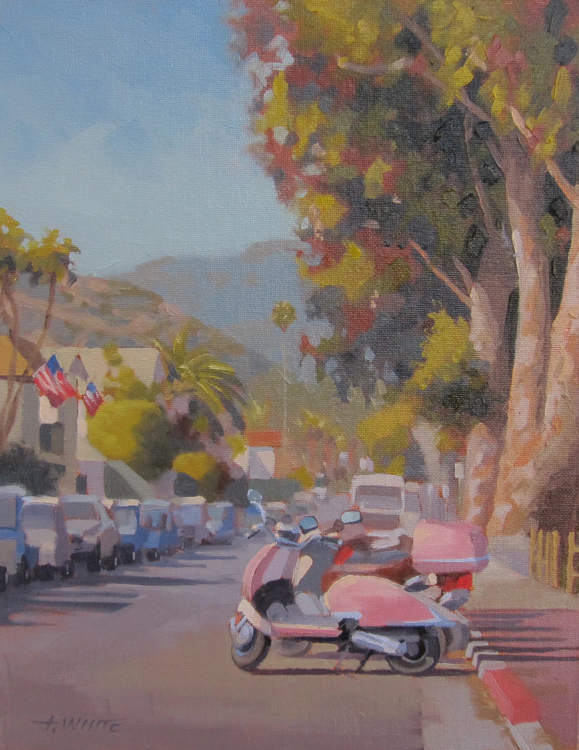 Buzzing the Island.JPG