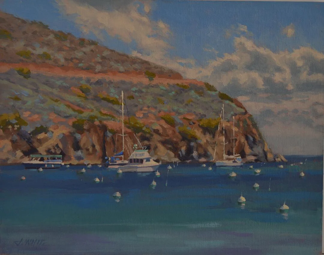 Two Harbors Front Yard