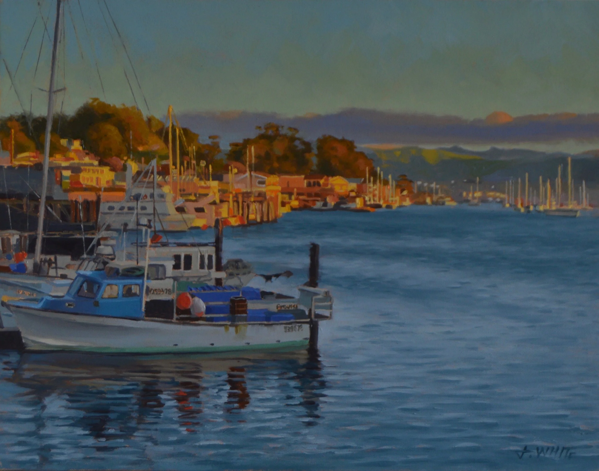 We're Losing the Light