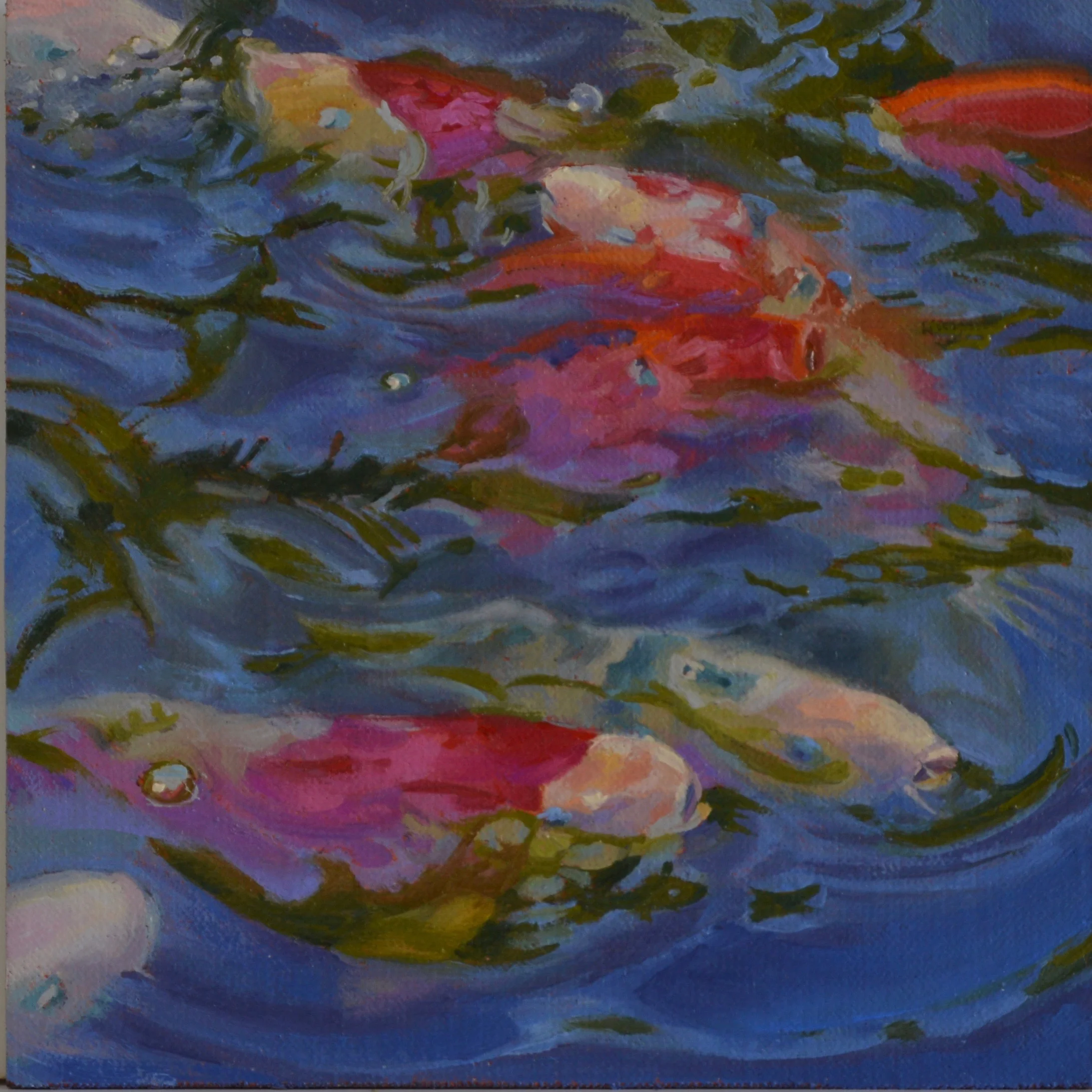 Series: Koi #3