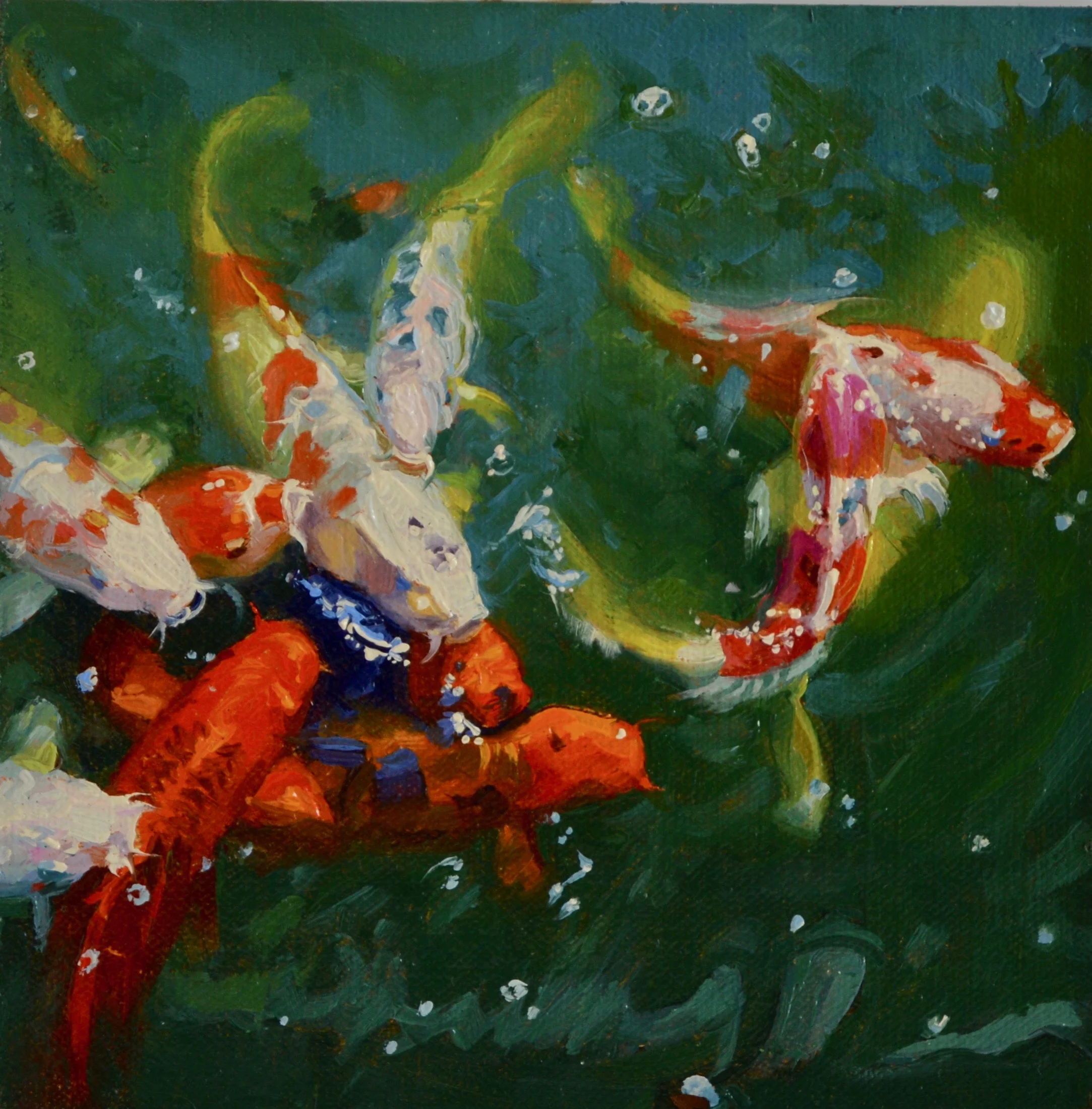 Koi #1