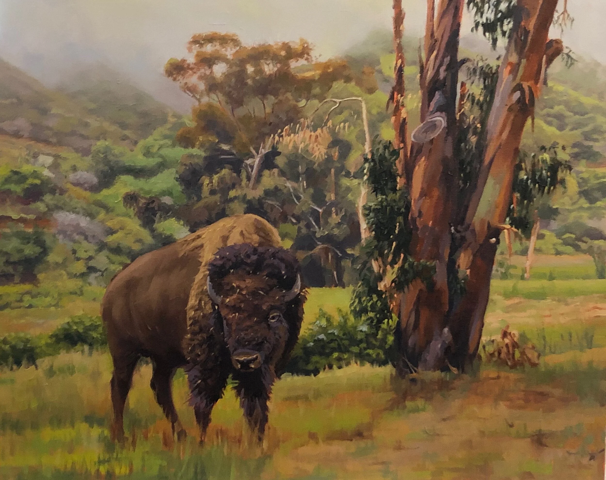 Hello Neighbor, Catalina Island 16x20.jpeg