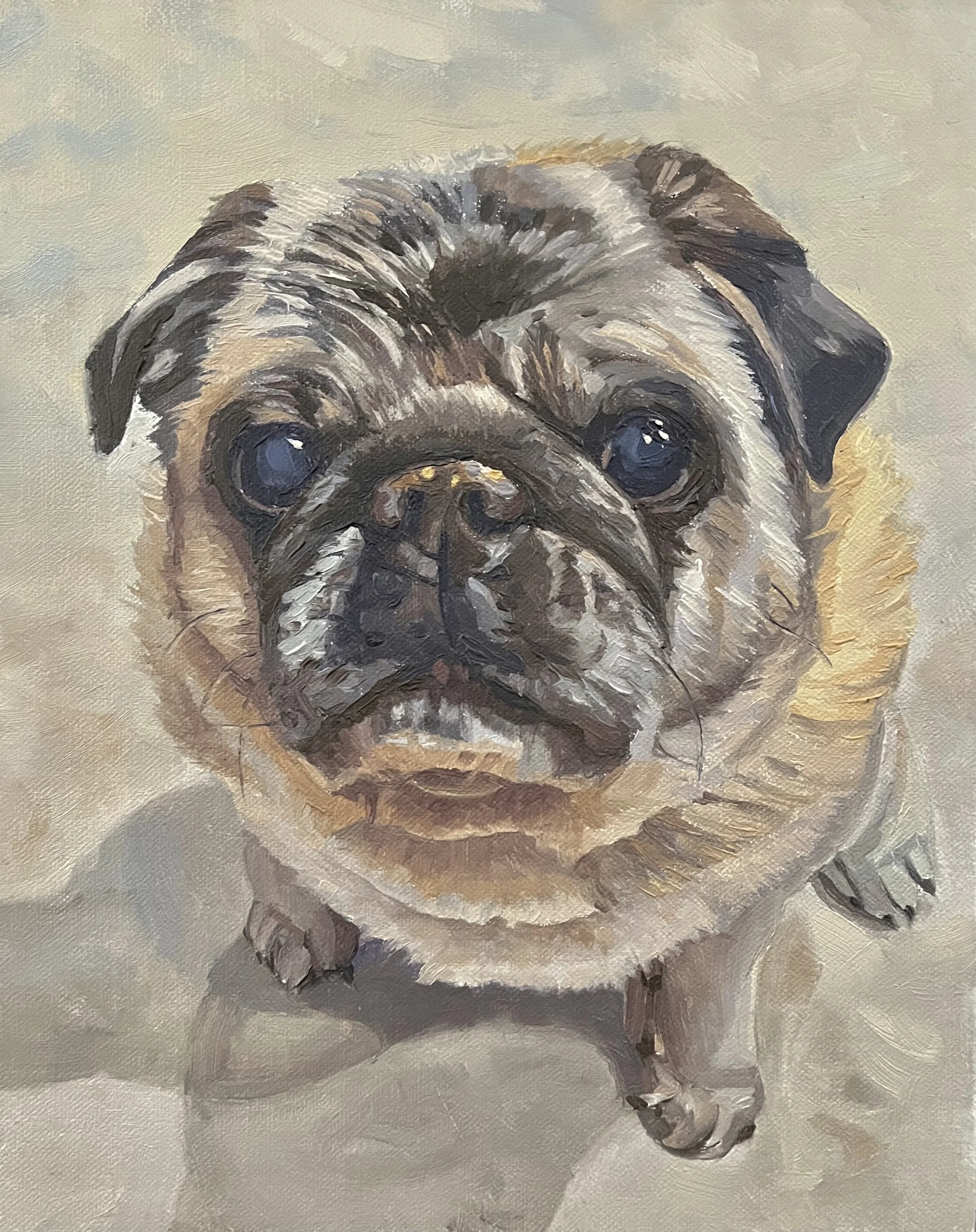 Pug  8x10.jpeg