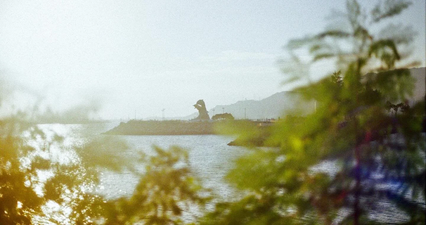 Golden Hour is good for the soul. 

Shot on @kodak 400. 
. 
.
.
.
.
#photography #hkphotography #canonhk #discoverhk #jacklloydhk #discoverhongkong #hkig #hongkonginsta #hkmood #shotwithcanon #canonae1 #hkcanon  #hkgrunge #hkfilm #fujifilmhk #kodak