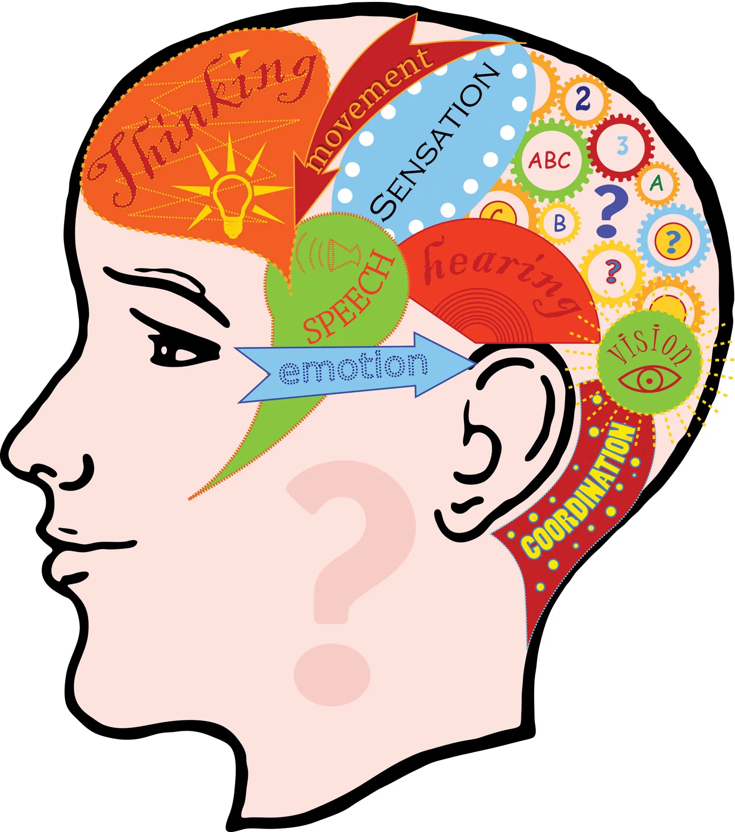 Human-Brain-diagram.jpg