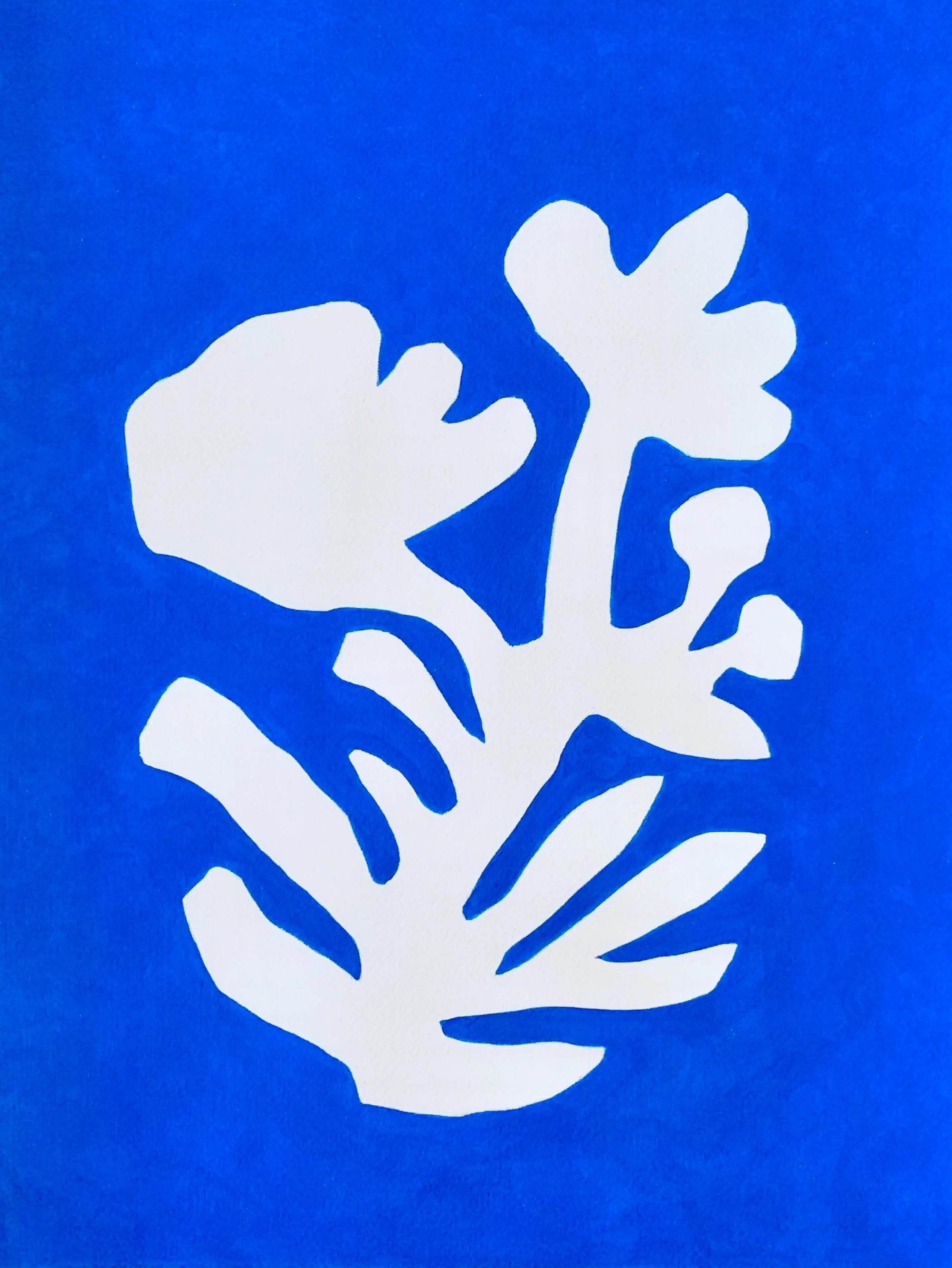 neicyfreysunprintno1.jpg