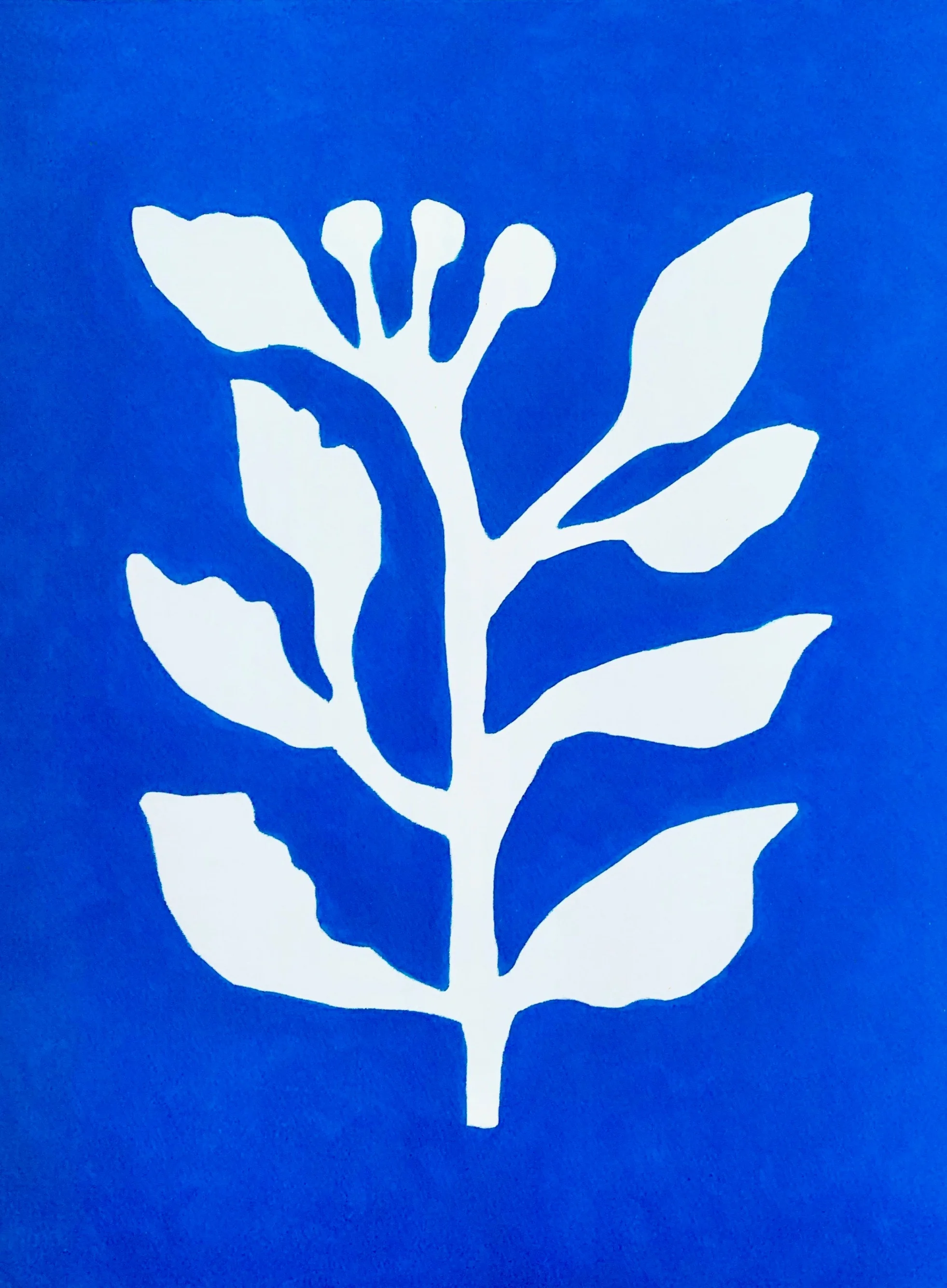 neicyfreysunprintno3.jpg
