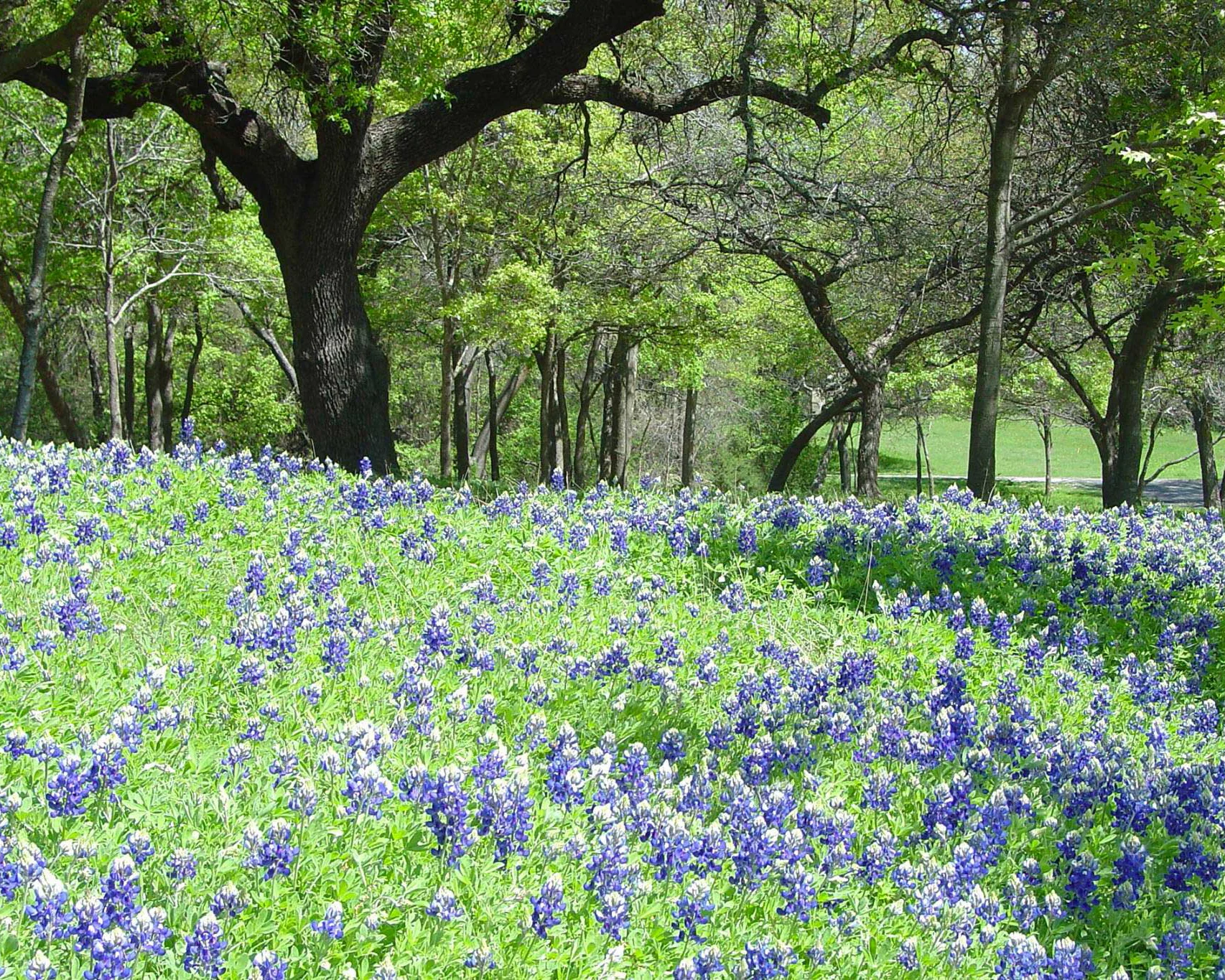 Weatherford RV Park photo 5