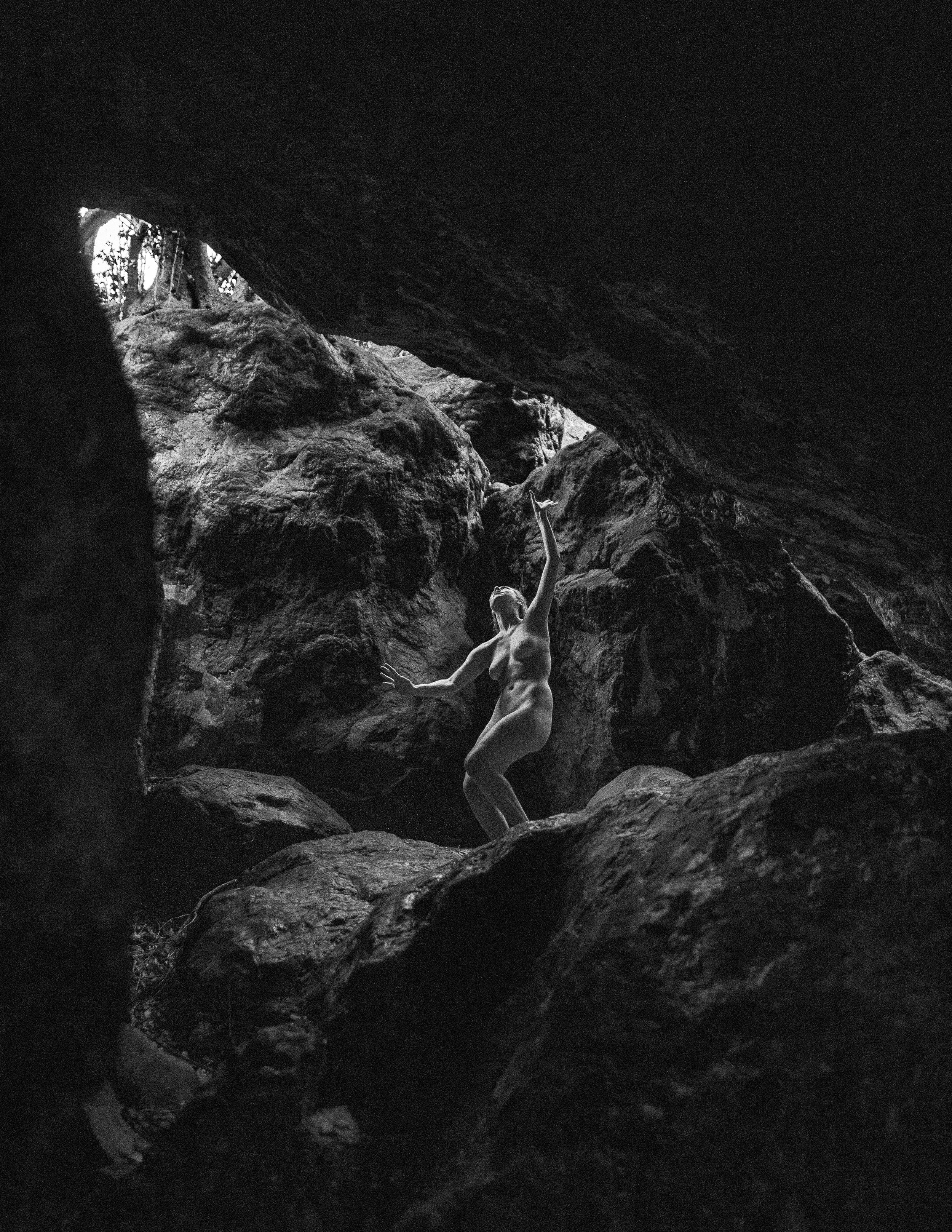 Insides
