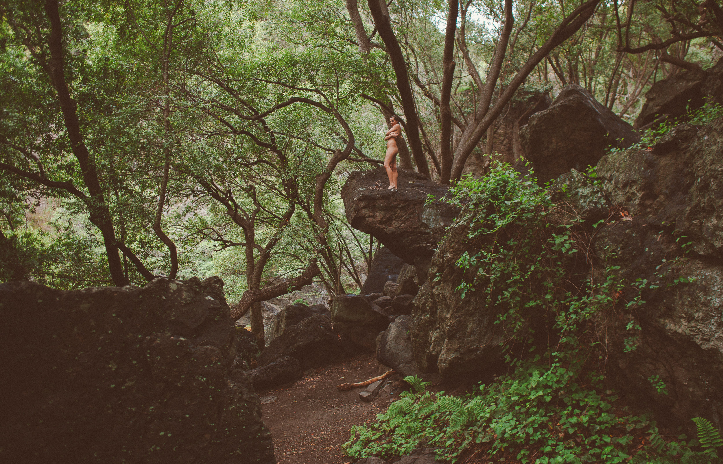 Wilderness