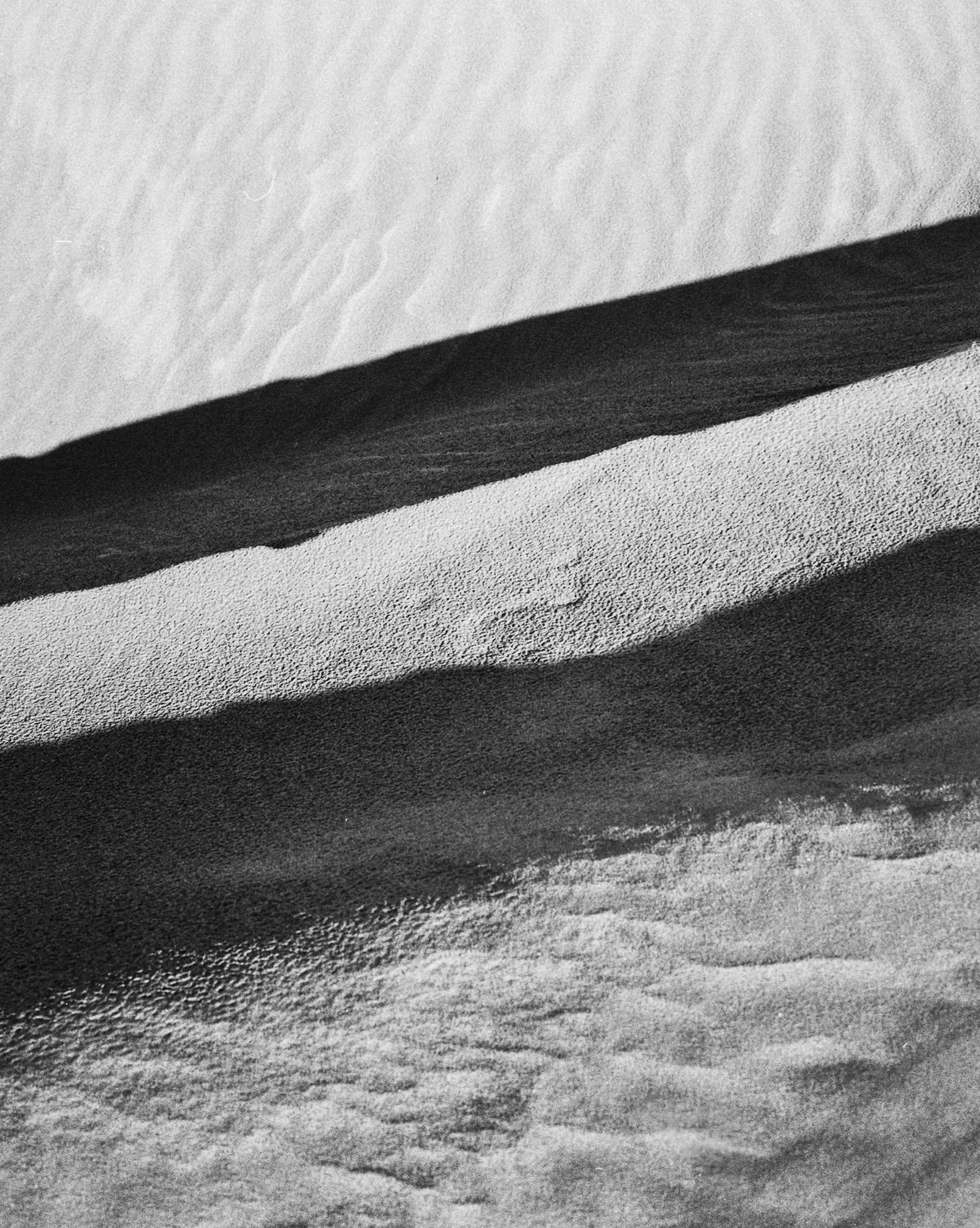 Dune studies on film 
#kentmere400 #120film