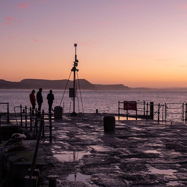 On Saturday these three charming chaps were down on the Cobb in Lyme Regis shortly after dawn. They were watching and feeding some very characterful small birds which they told me were Turnstones. Although not unknown to visit the U.K. at this time o