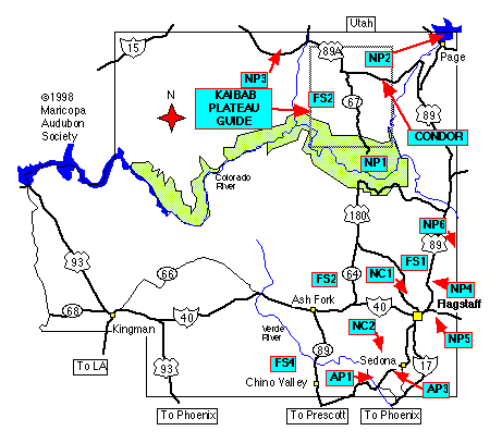 Northwest-Arizona-Birding-Info.gif