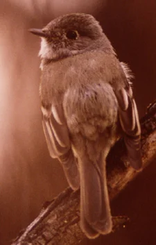 image002.jpg