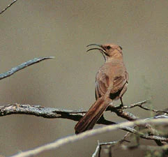 image001.jpg