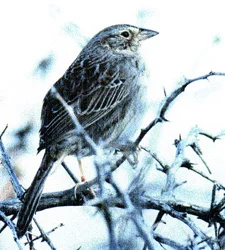 image002.jpg