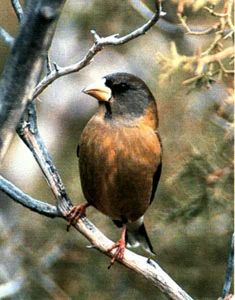 image003.jpg