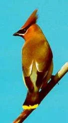 image006.jpg