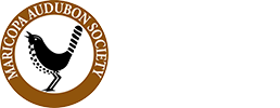 Maricopa Audubon Society