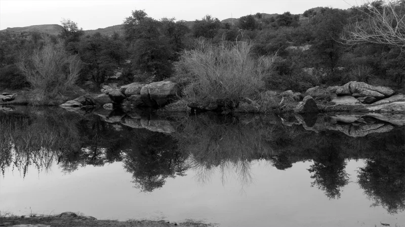Oak Flat Pond