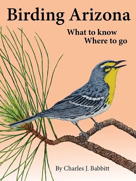 Birding Arizona, What to Know, Where to Go.jpg