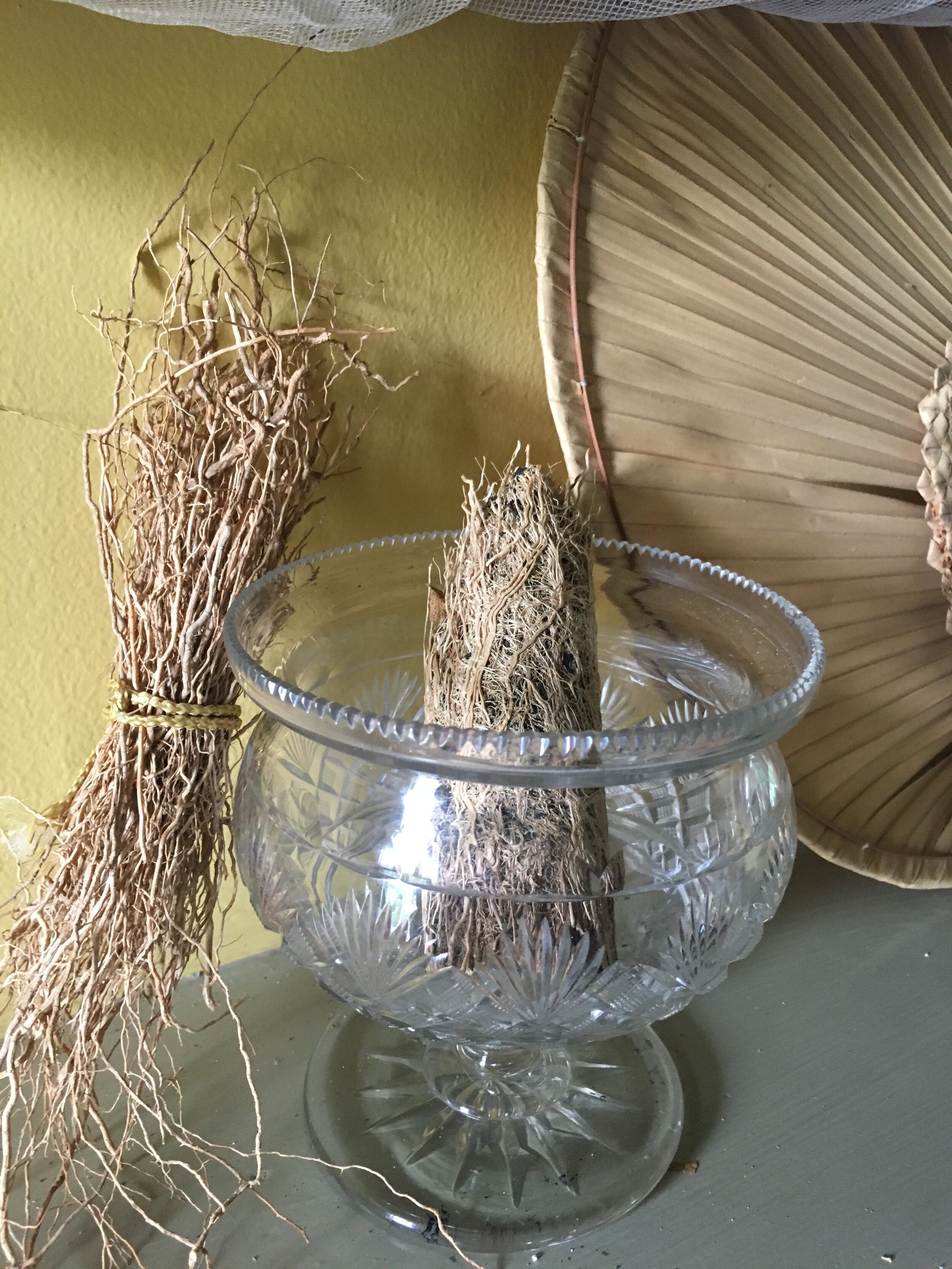 Vetiver in New Orleans: A Heritage of Sharing — Pitot House