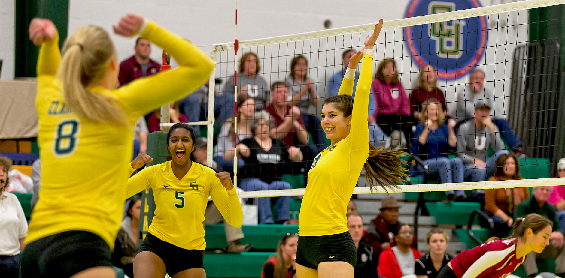 volleyball.jpg