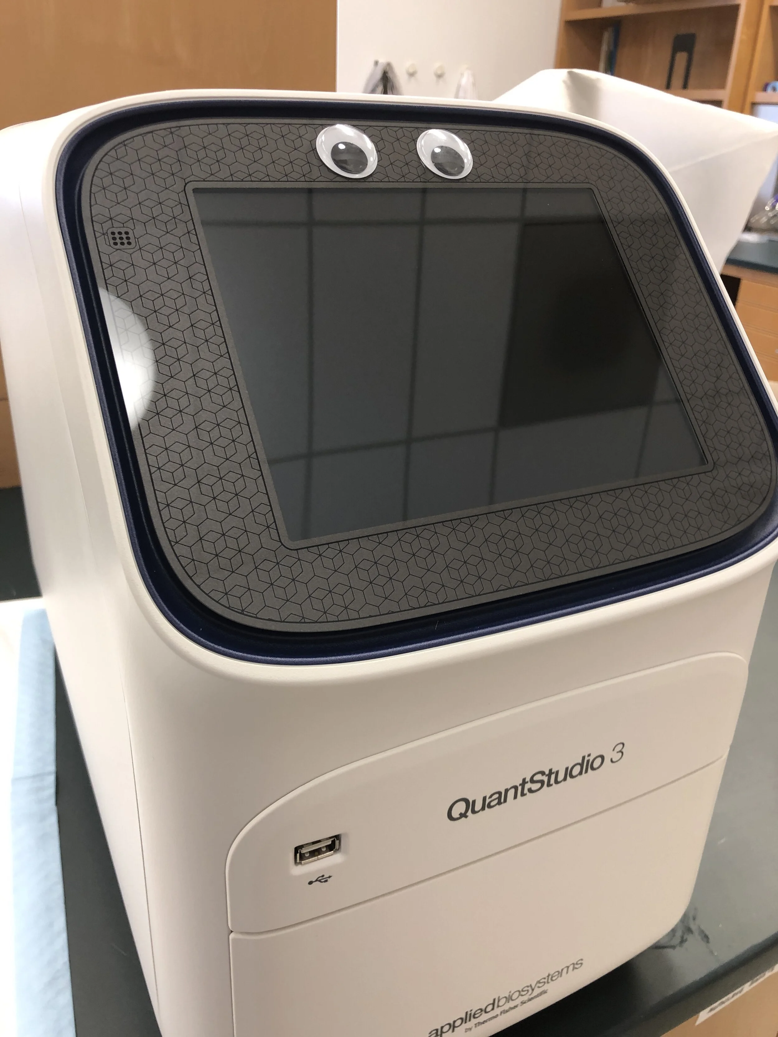 Warmest welcome to the newest member of our lab! October 2020