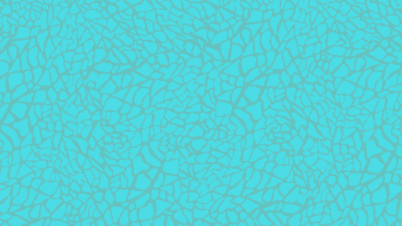 The Crossover (2017)