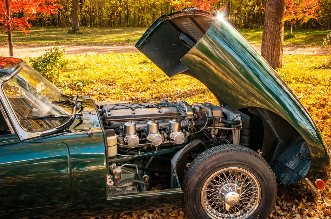 BradsJags_20141018-7418.jpg