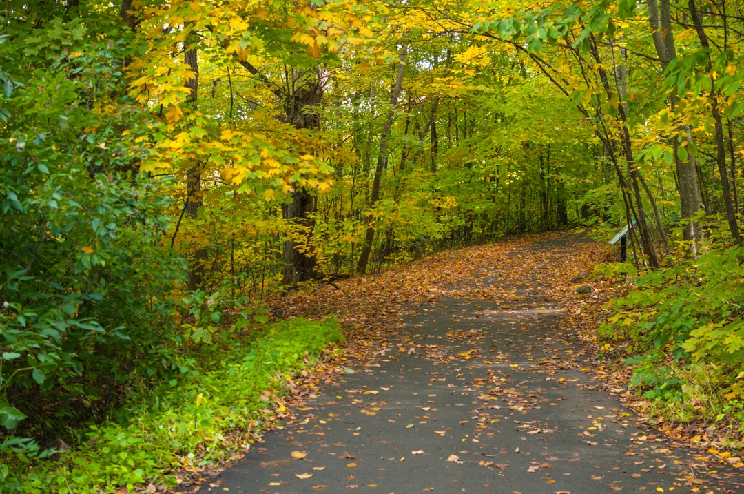 Arboretum_20131008-2322.jpg