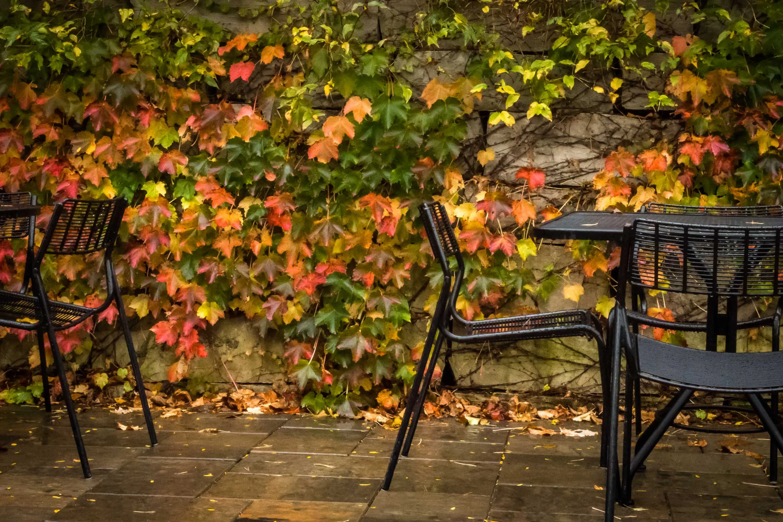 Arboretum_2014Oct12-0836.jpg
