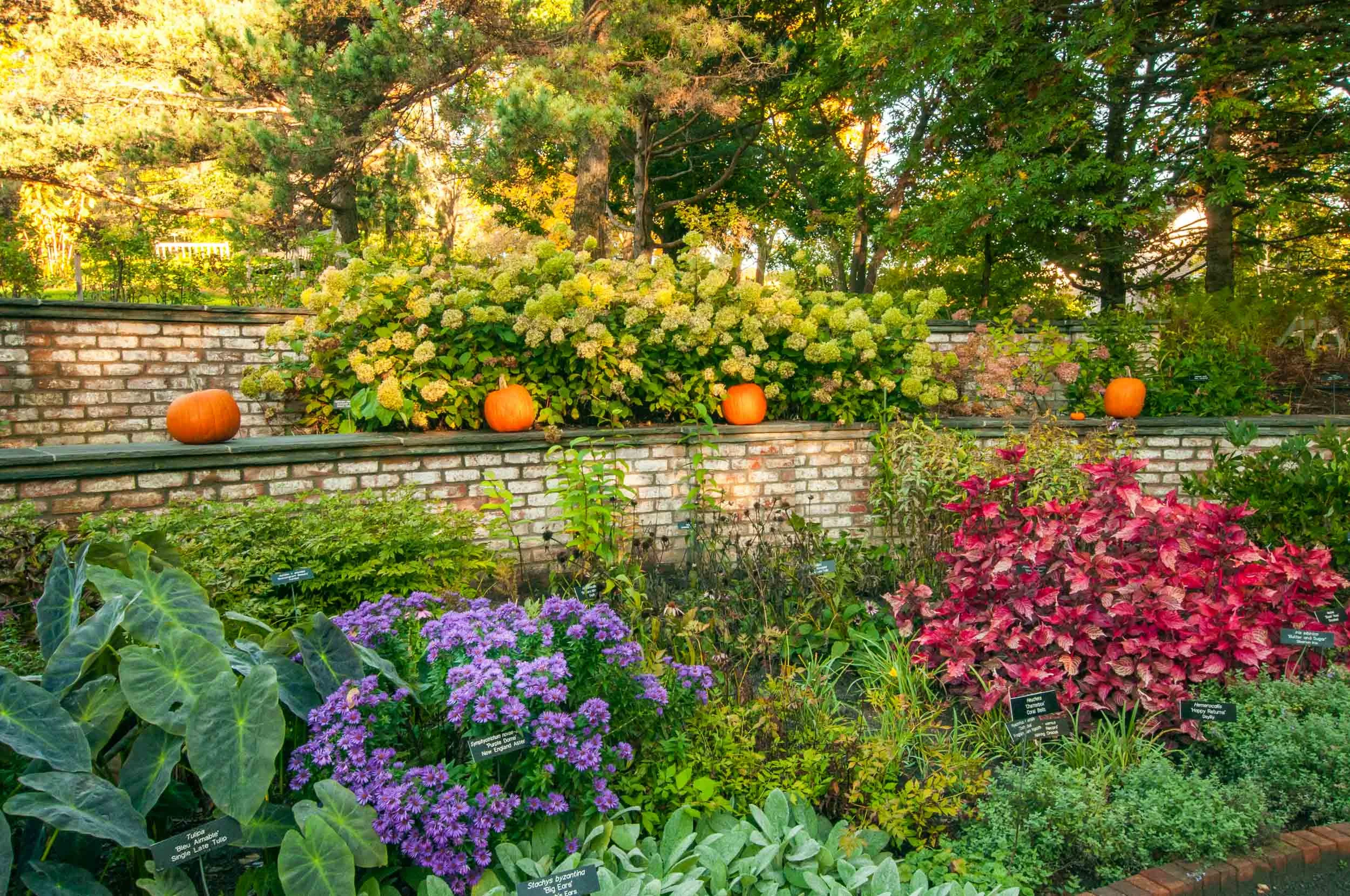 Arboretum_2017Oct8_1-2419.jpg