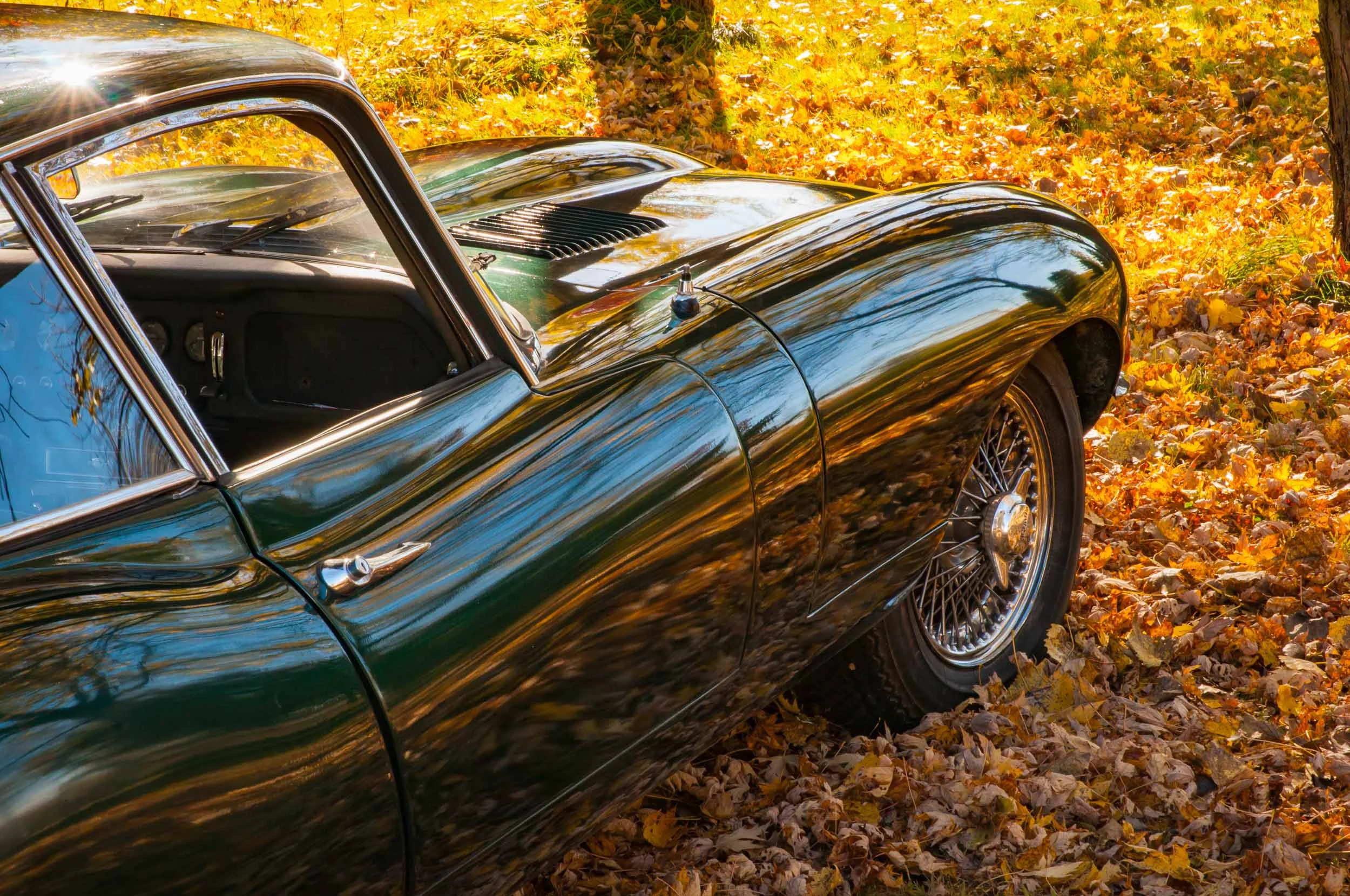 BradsJags_20141018-7429.jpg