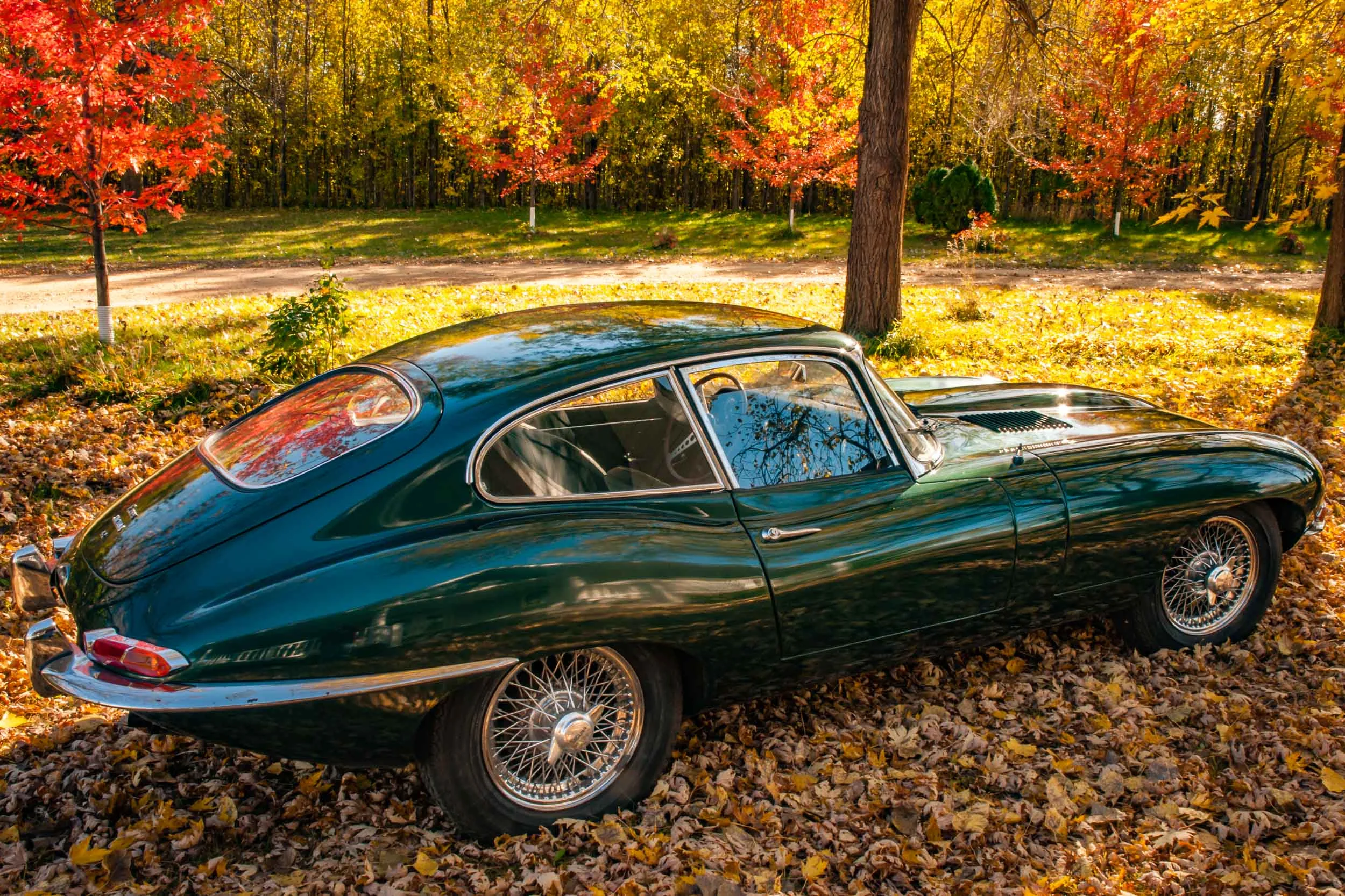 BradsJags_20141018-7405.jpg