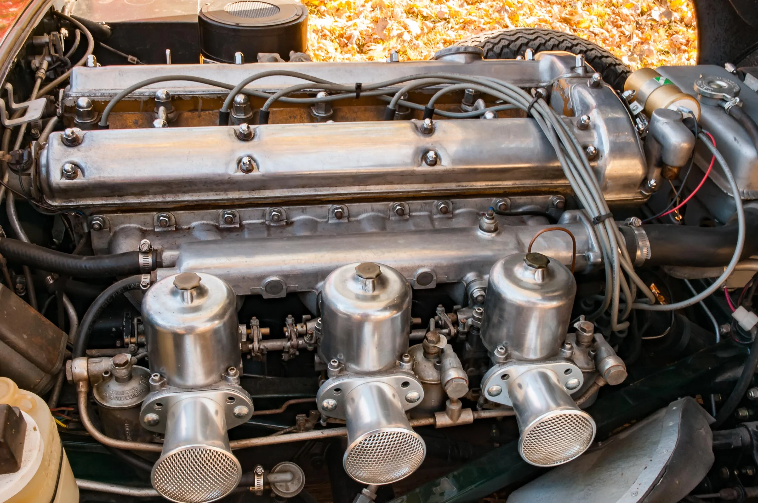 BradsJags_20141018-7421.jpg