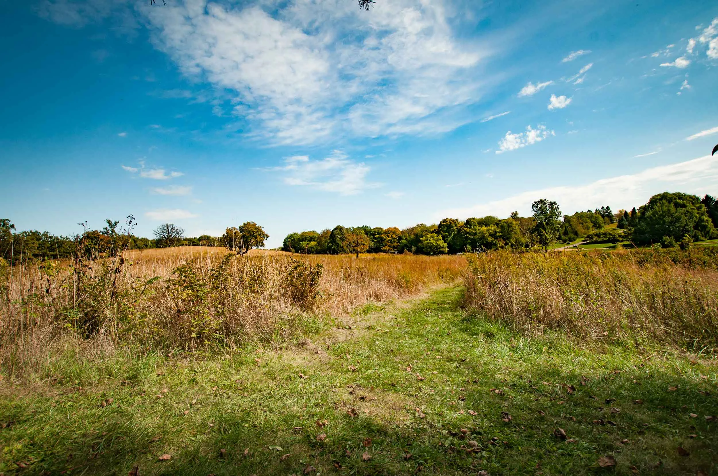 Arboretum_2017Sept28_1-6596.jpg