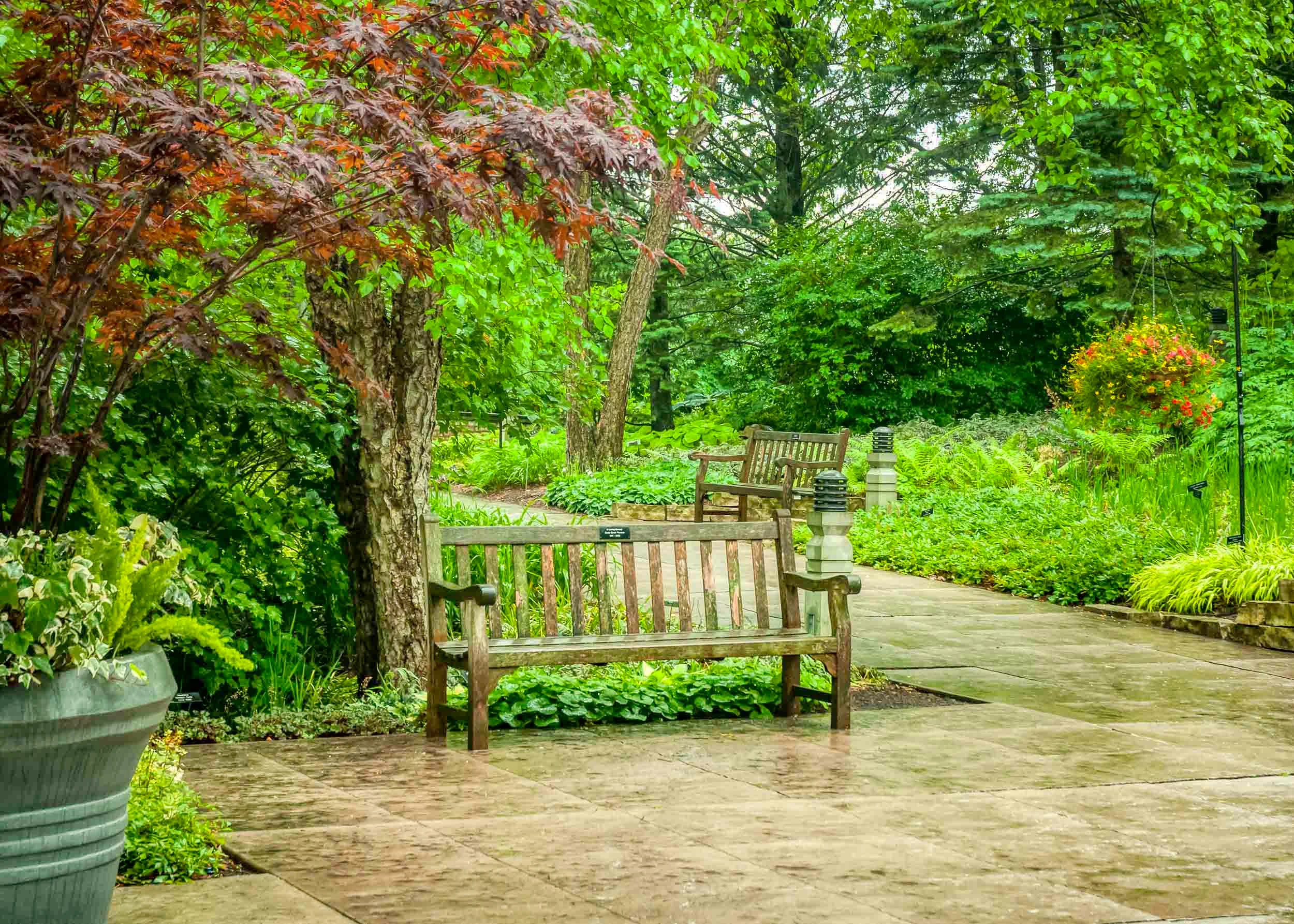 Arboretum_20170622-4300_aurorahdr.jpeg
