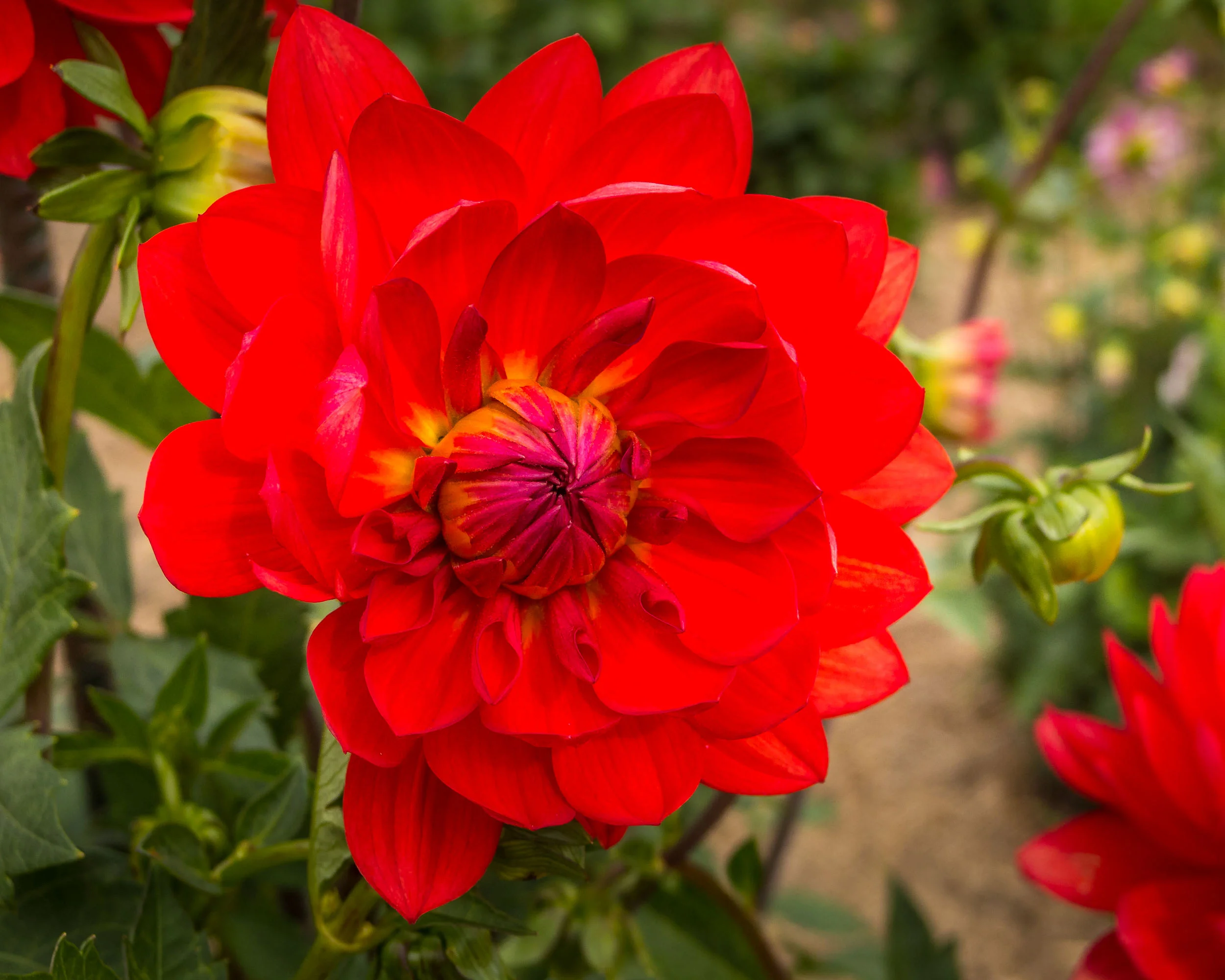 Arboretum_20140930-0693.jpg