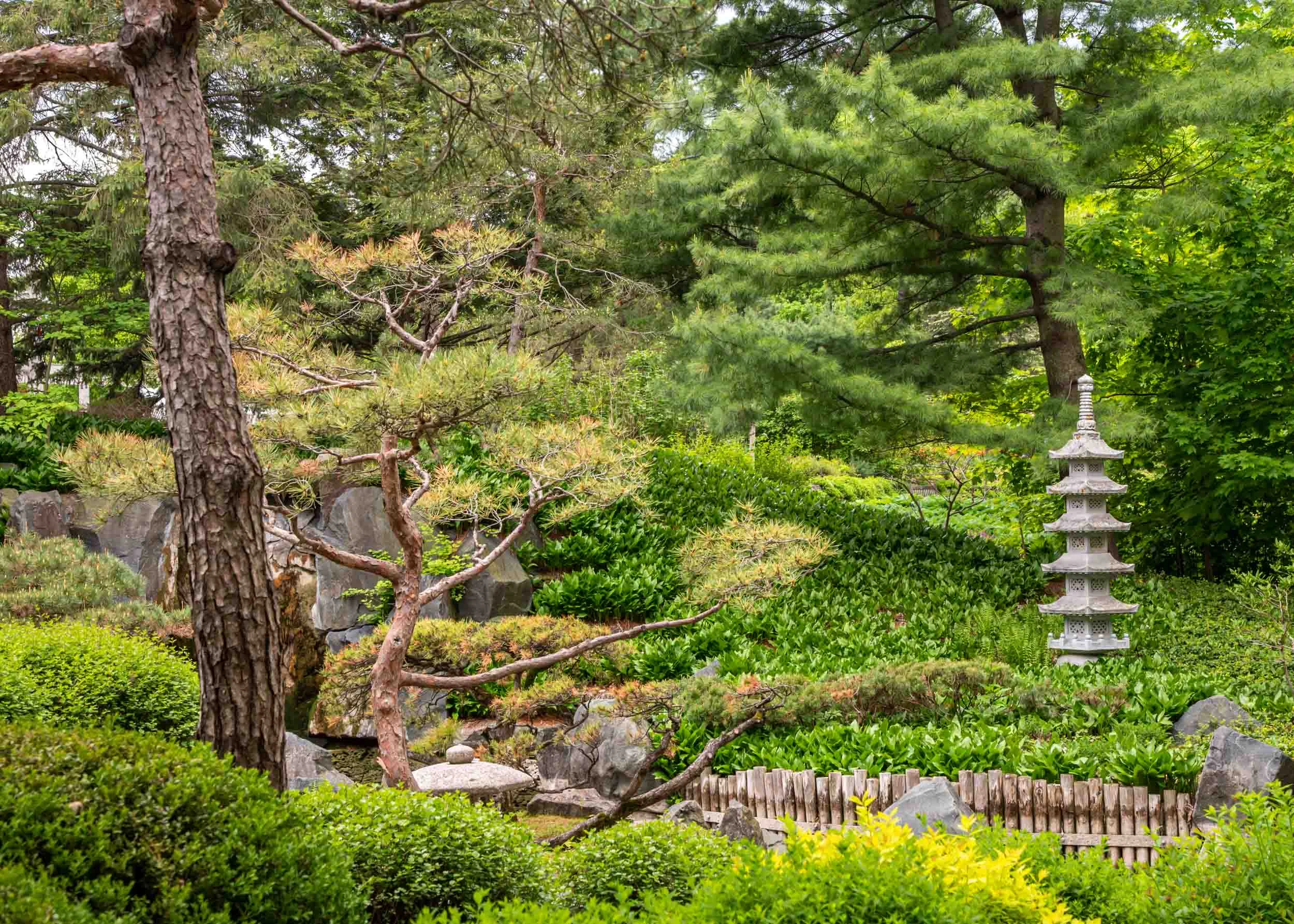 Arboretum_2019May29_1-9813.jpg