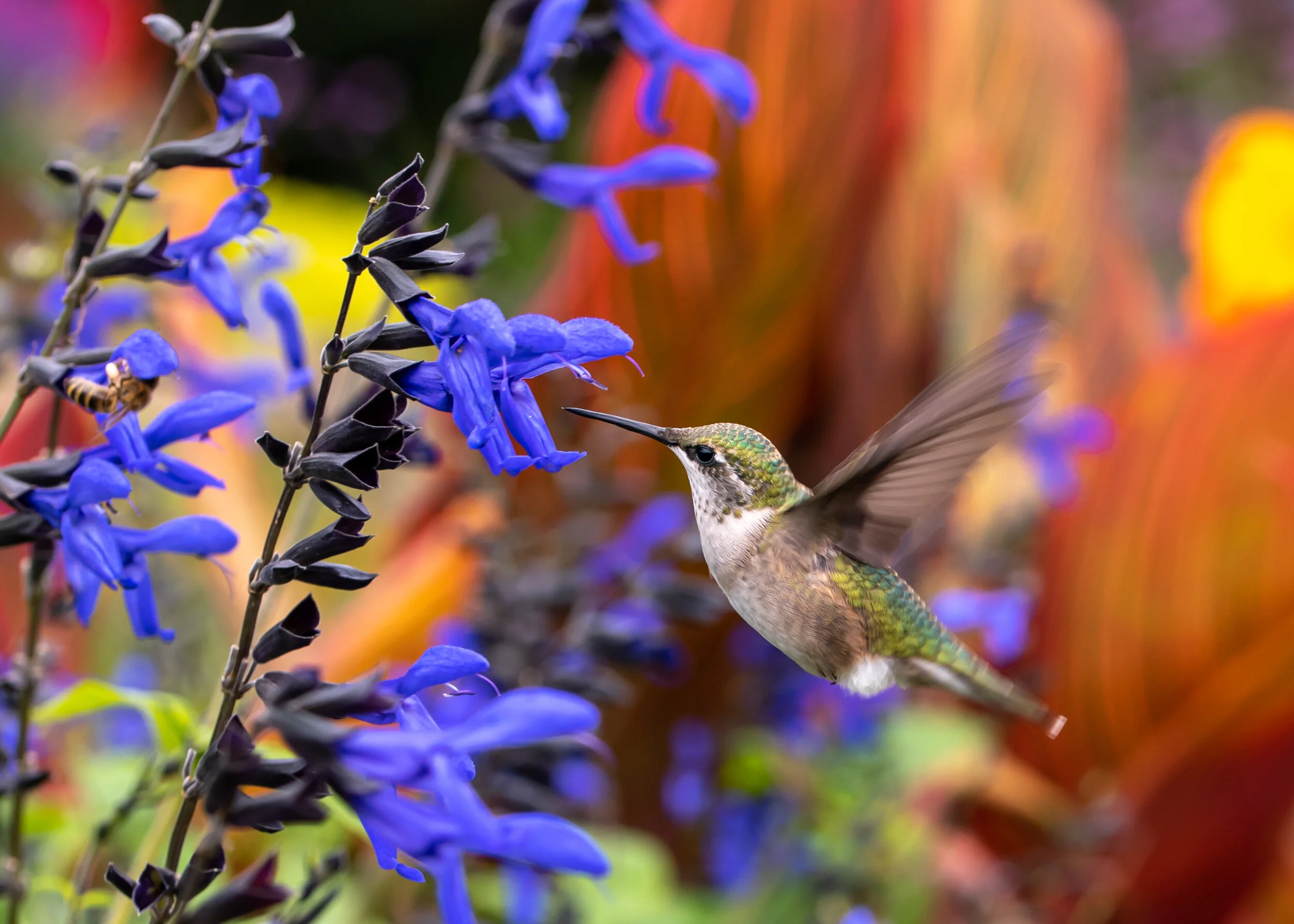 Arboretum_2019September22-2608.jpg
