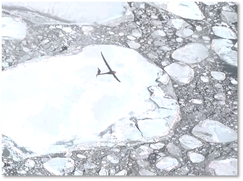 Vanilla UAS Arctic Operations:  From the Desert to the Frozen North