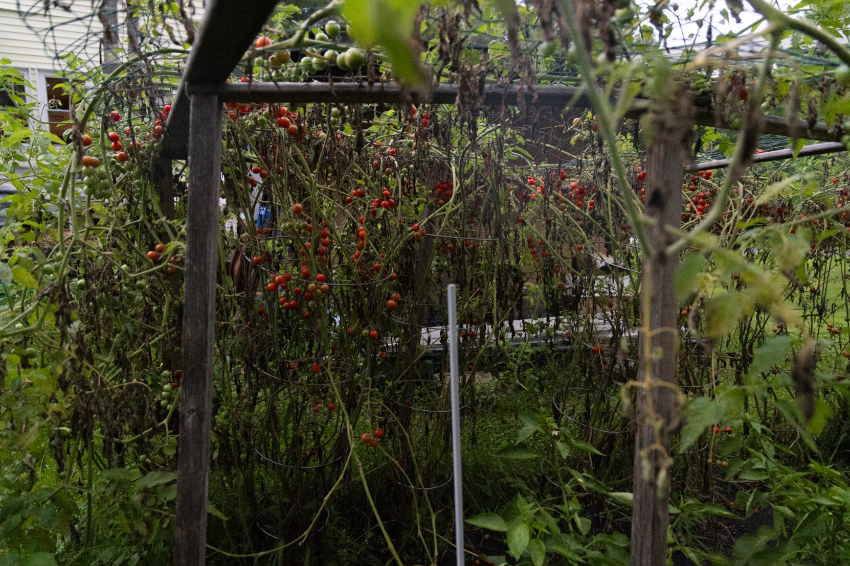 Screenshot 2024-08-26 at 10.48.46 PM.png