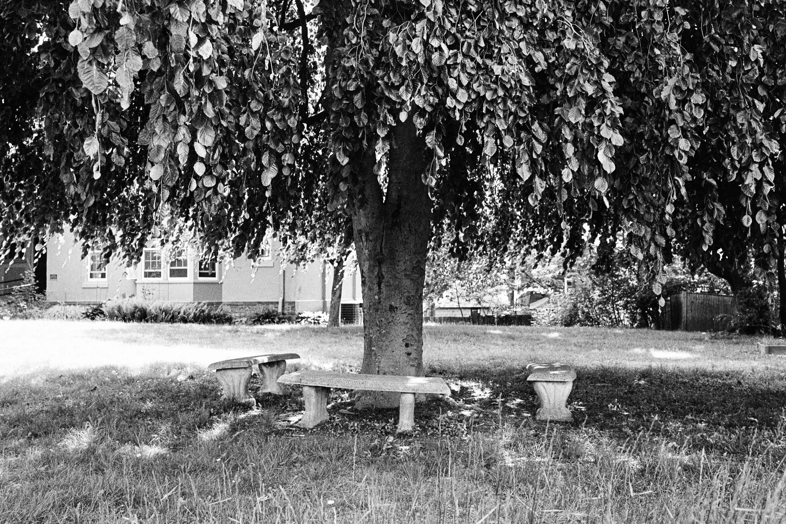 In the Shadow of a Doubt-4.JPG