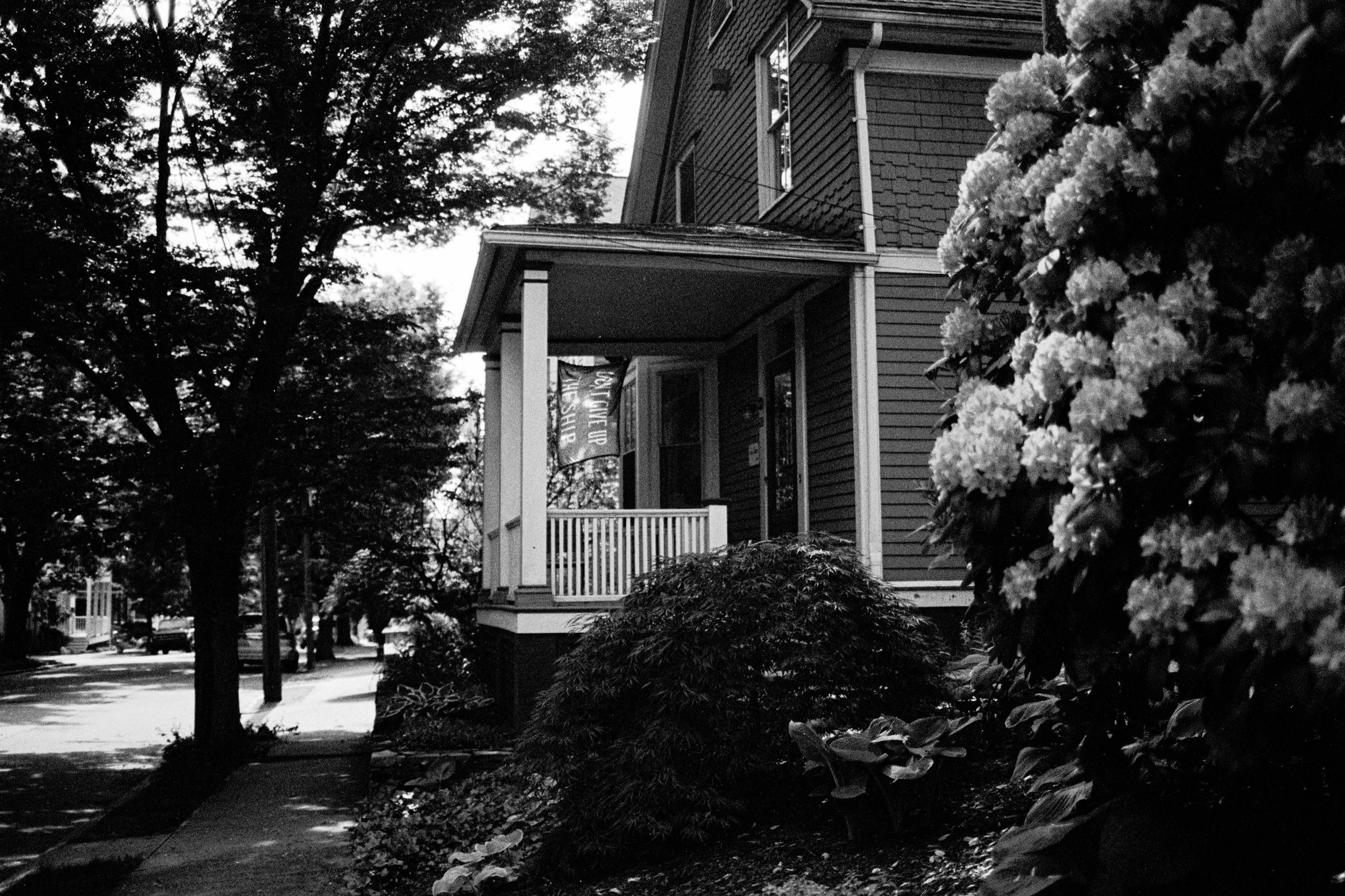 In the Shadow of a Doubt-5.JPG