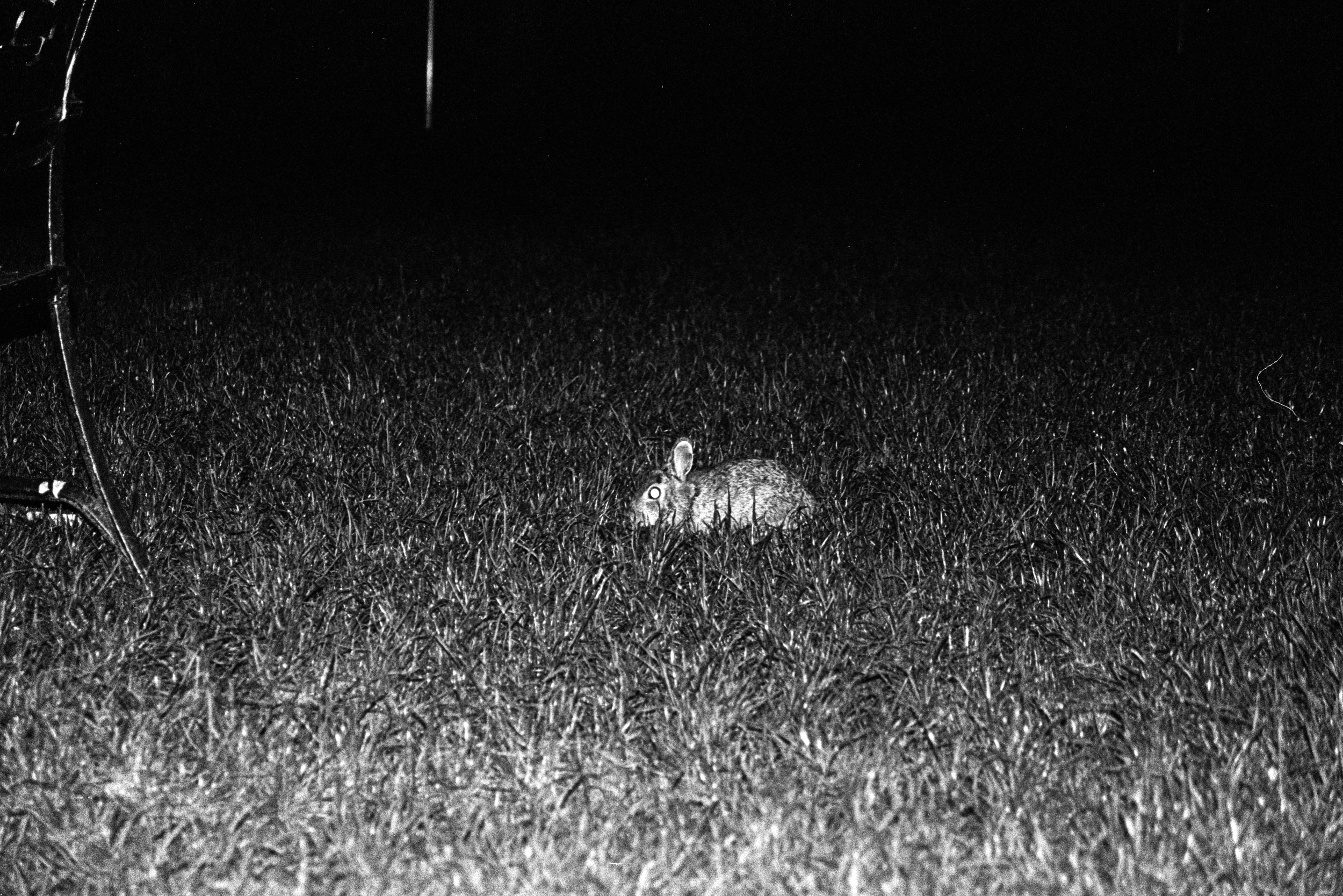 In the Shadow of a Doubt-6.JPG