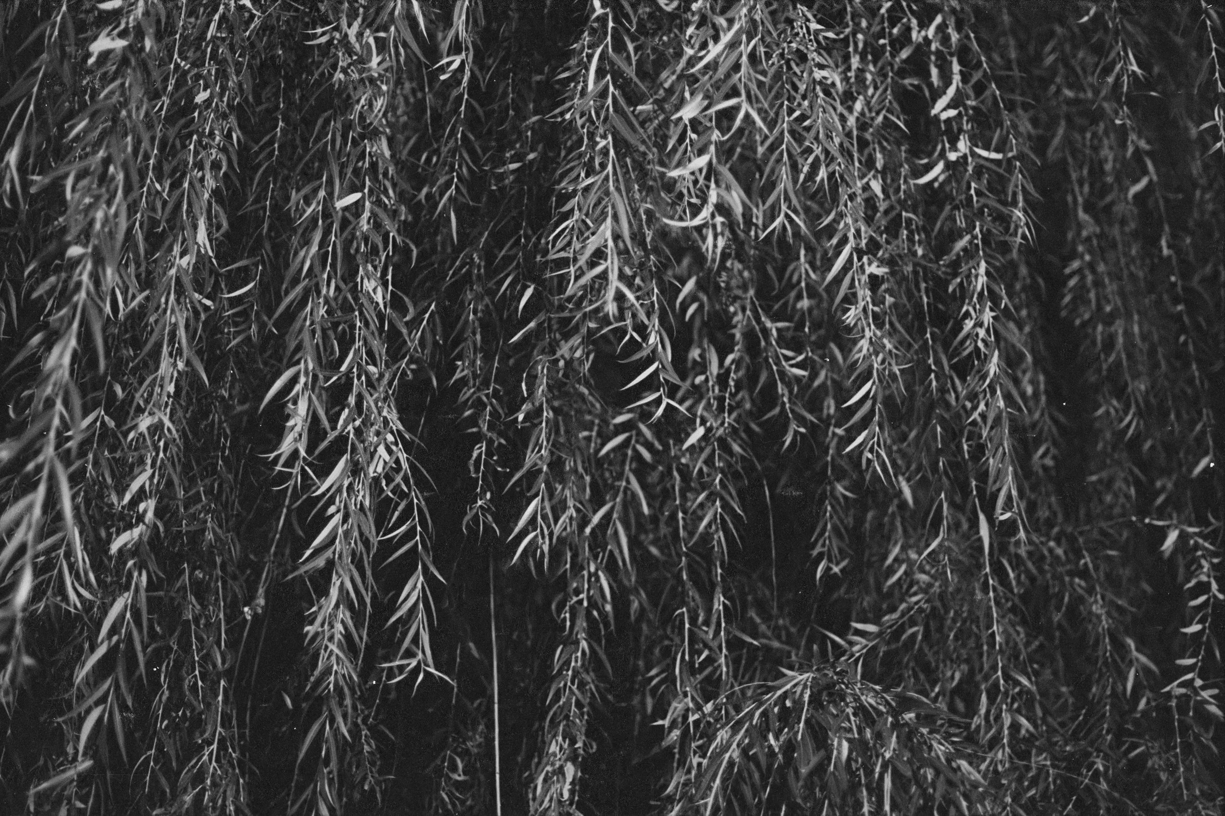 In the Shadow of a Doubt-8.JPG