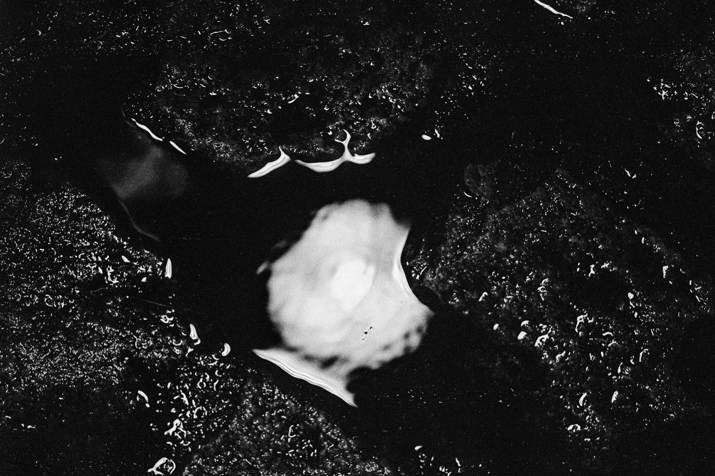 In the Shadow of a Doubt-11.JPG