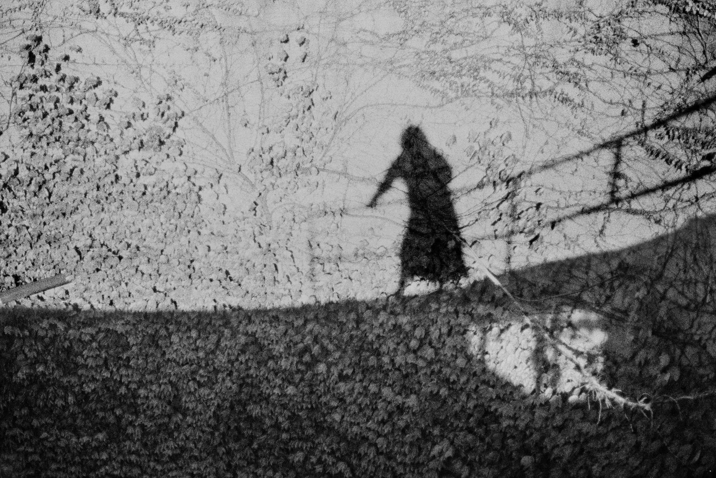 In the Shadow of a Doubt-15.JPG